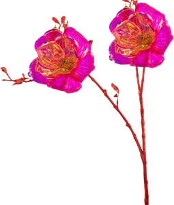 5812 FLEUR FLORA LUXE FUCHSIA